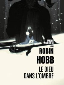Le Dieu dans l'ombre - Megan Lindholm - critique du livre