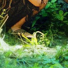 Laguna - Sharunas Bartas - critique