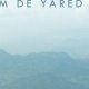 Lamb - Yared Zeleke - critique