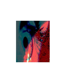 Du feu dans les salles