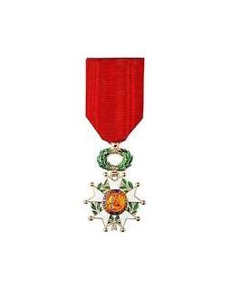 Michel Houellebecq décoré de la Légion d'Honneur