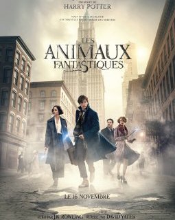 Box-office Paris 14h : Les Animaux Fantastiques n'est pas Harry Potter !