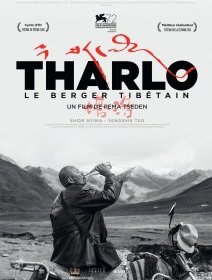 Tharlo, le berger tibétain - Pema Tseden - critique