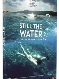 Still the water (Futatsume no mado) - le test DVD