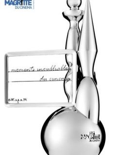  Les Magritte du cinéma 2013 - le Palmarès