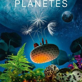 Planètes - Momoko Seto - critique