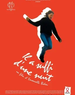 Il a suffi d'une nuit - Emmanuelle Bidou - critique