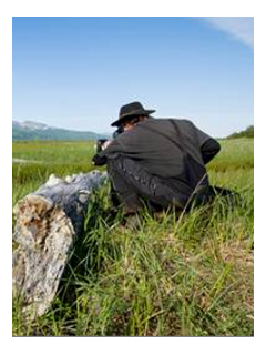 Grizzly - le prochain documentaire animalier Disney en tournage