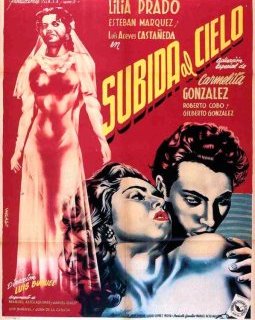 La montée au ciel - La critique