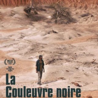 La couleuvre noire - Aurélien Vernhes-Lermusiaux - critique 