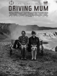 Driving Mum - Hilmar Oddsson - critique 