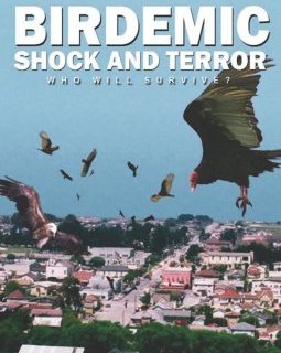 Birdemic : Shock and Terror - la critique du film