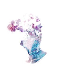 Woodwire : les rêveries d'un promeneur éveillé 