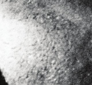 Tetro - Francis Ford Coppola - critique