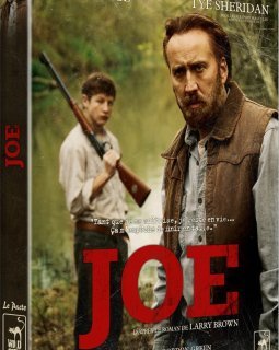 Joe avec Nicolas Cage en DVD collector - le test