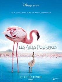 Les ailes pourpres - La critique