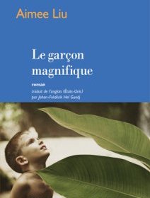 Le garçon magnifique - Aimee Liu - critique du livre