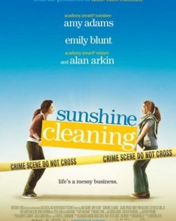 Sunshine cleaning - la critique