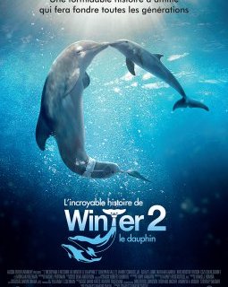 L'incroyable histoire de Winter le dauphin 2 - la critique