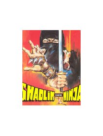 Shaolin contre ninja - la critique + test DVD