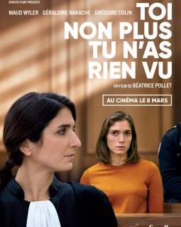 Toi non plus tu n'as rien vu - Béatrice Pollet - critique