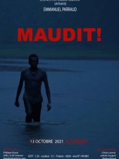 Maudit ! - Emmanuel Parraud - critique 