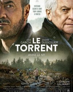 Le torrent - Anne Le Ny - critique