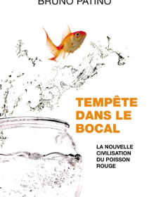 Tempête dans le bocal - Bruno Patino - critique de l'essai