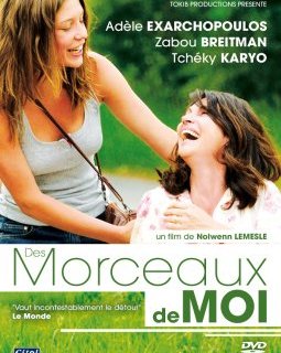 Des morceaux de moi - le test DVD