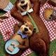 Yogi l'ours : des animaux facétieux, de la 3D et la voix de Justin Timberlake