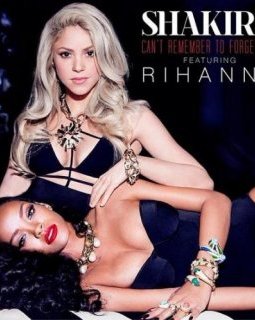 Shakira et Rihanna : produit mal ficelé dirigé par Joseph Kahn (Torque)