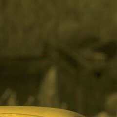 Après la chute – Arthur Miller - chronique livre