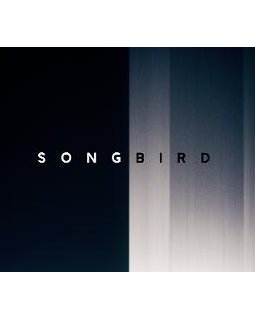 L'inspiration virale de Michael Bay : Songbird