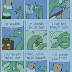 « Tulipe », de Sophie Guerrive, aux éditions 2024