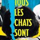 Tous les chats sont gris - la critique + test DVD