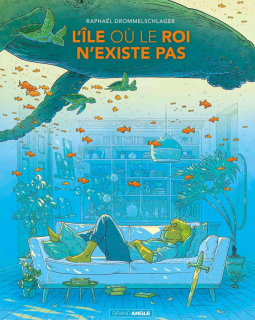 L'île où le roi n'existe pas – Raphaël Dropmmelschlager - la chronique BD