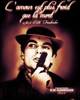 L'amour est plus froid que la mort - la critique