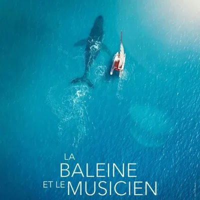 La baleine et le musicien - Valentin Paoli - critique