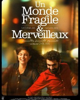 Un monde fragile et merveilleux - Cyril Aris - critique