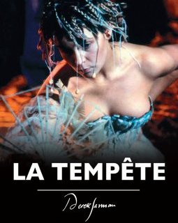 Semaine du 17 juin 2026 : les sorties en salle