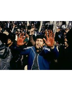 Pour la liberté - la critique du documentaire