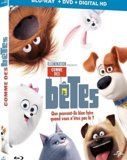 Comme des Bêtes : le phénomène passé au crible, à l'occasion de sa sortie vidéo