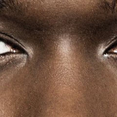 spip-bandeau spip-bandeau