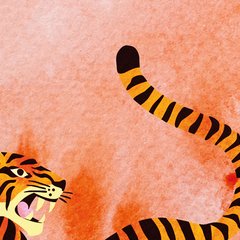 Le héros des femmes – Adolfo Bioy Casares - chronique livre