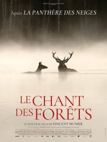 Le chant des forêts - Vincent Munier - critique 