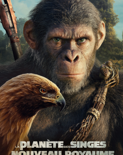 Semaine du 8 mai 2024 : les sorties en salle