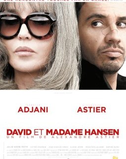 David et madame Hansen - la critique
