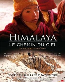 Himalaya, le chemin du ciel - la critique