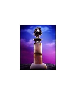 Golden Globes 2010 : le triomphe d'Avatar