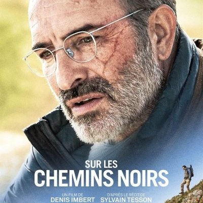 Sur les chemins noirs - Denis Imbert - critique